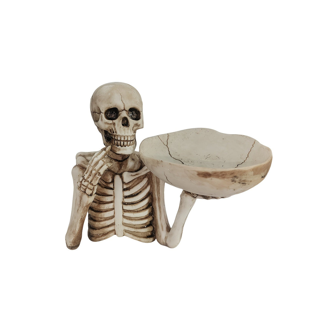 Decoratieve Schedelschaal van Resin voor Halloween en Gotische Decoratie