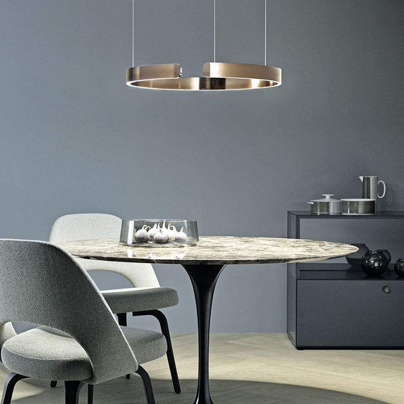 Moderne Ringvormige Hanglamp Met Geïntegreerde LED-Verlichting