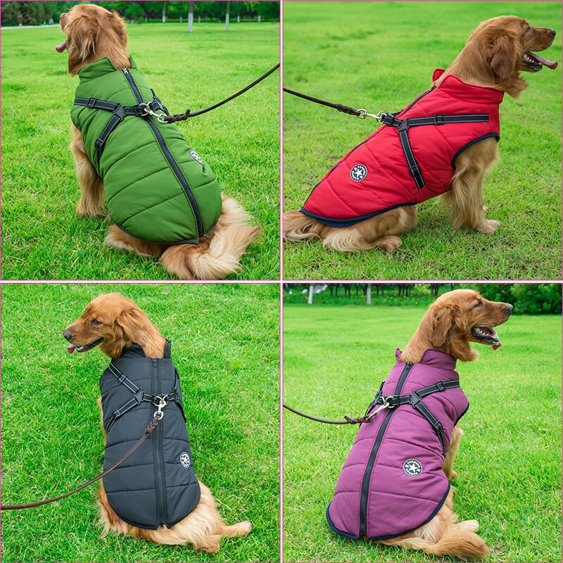Warme 3-in-1 Hondenjas met Geïntegreerd Harnas en Ritssluiting