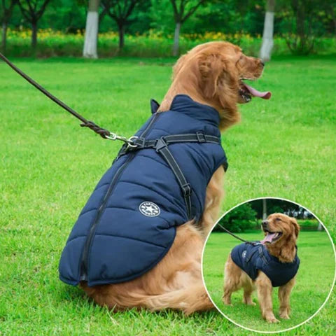 Warme 3-in-1 Hondenjas met Geïntegreerd Harnas en Ritssluiting