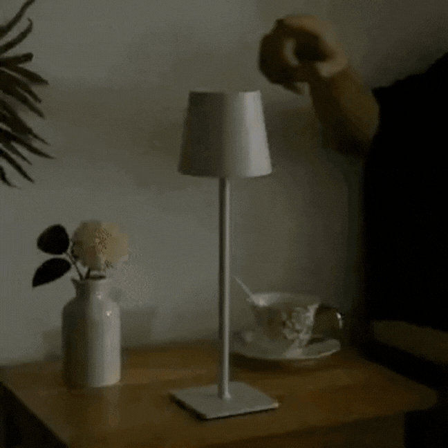 Energiezuinige Dimbare LED Tafellamp met Drie Lichtstanden