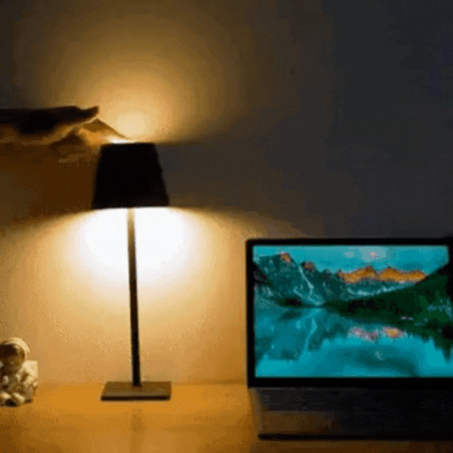 Energiezuinige Dimbare LED Tafellamp met Drie Lichtstanden