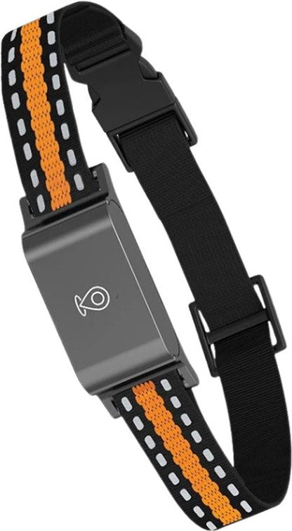 GPS‑Halsband met Realtime Volgfunctie voor Huisdieren