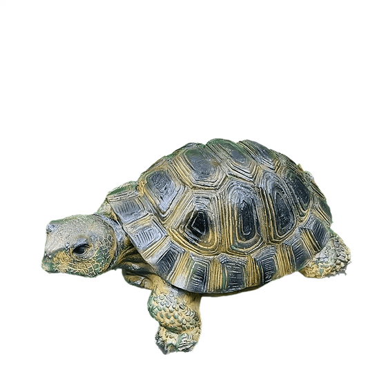 TurtleBloom Tuindecoratie – Realistische Schildpadfiguur van Hars voor Binnen & Buiten
