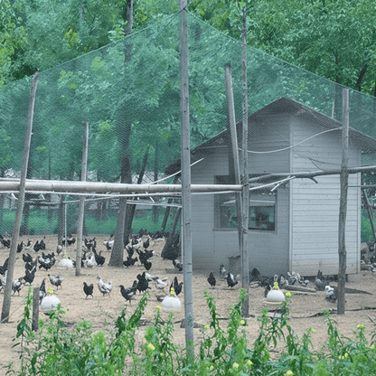 Beschermnet Voor Fruittuin Met UV Weerstand En Sterke Structuur