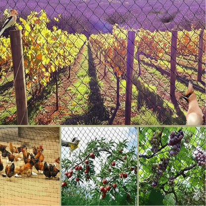 Beschermnet Voor Fruittuin Met UV Weerstand En Sterke Structuur