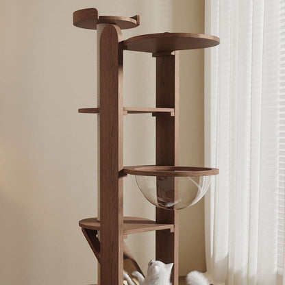 Kattenklimmeubel met vier niveaus, sisal en acryl ligplek