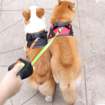 Dubbele Intrekbare Hondenriem Met Zaklamp Voor Twee Honden