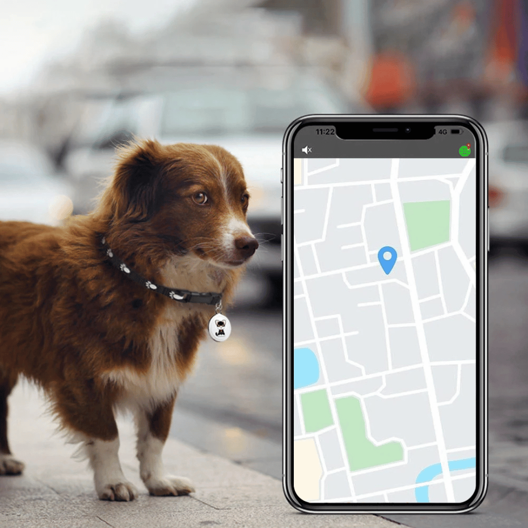 Compacte bluetooth tracker voor huisdieren en persoonlijke items