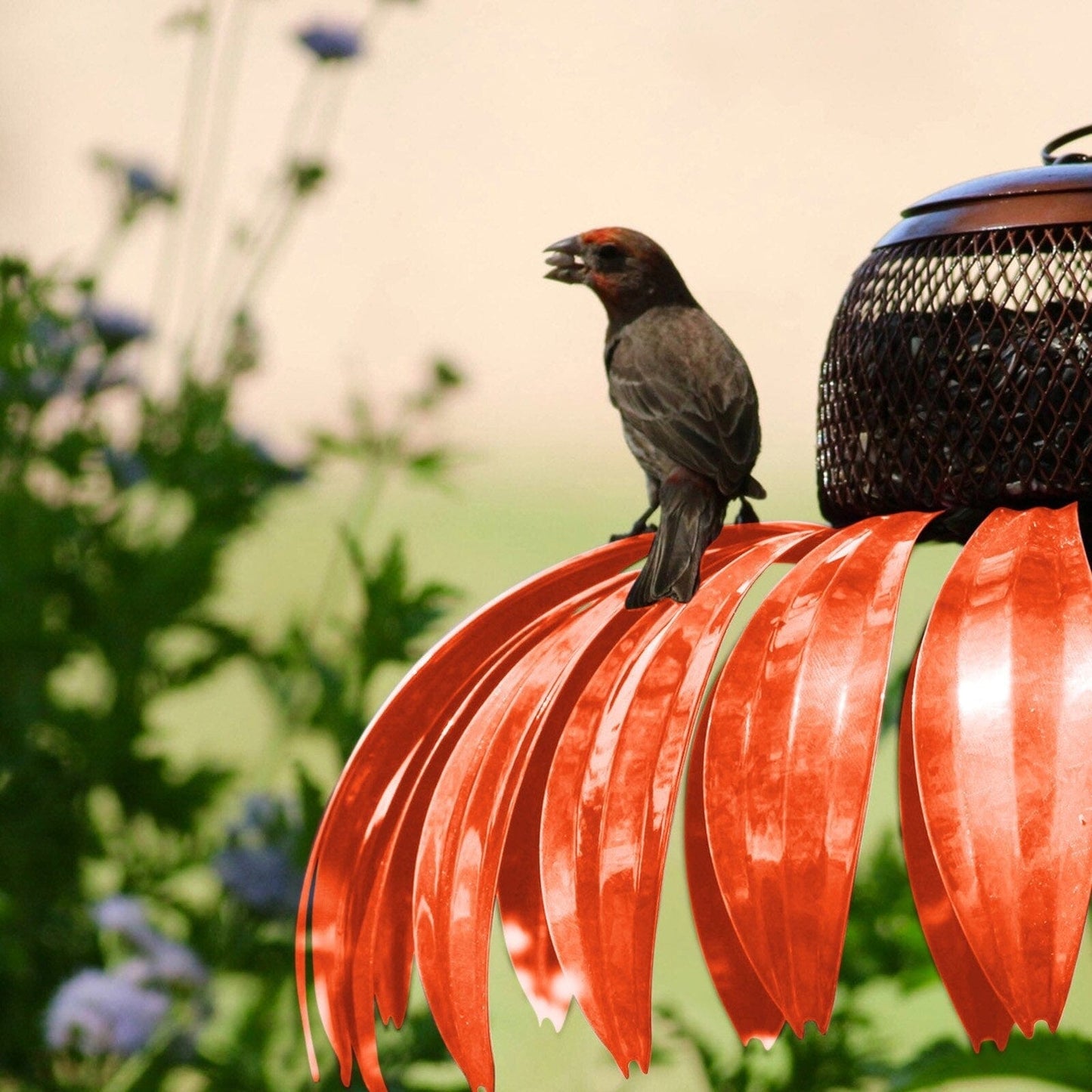 Wetterbestendig Vogelfutterhuis voor Tuin en Balkon met Decoratieve Futterplaats