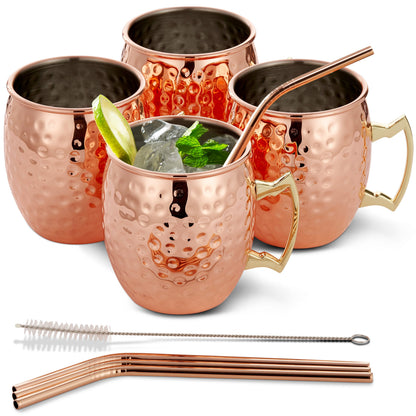 RVS Cocktailbekers Met Herbruikbare Rietjes Voor Koude Dranken