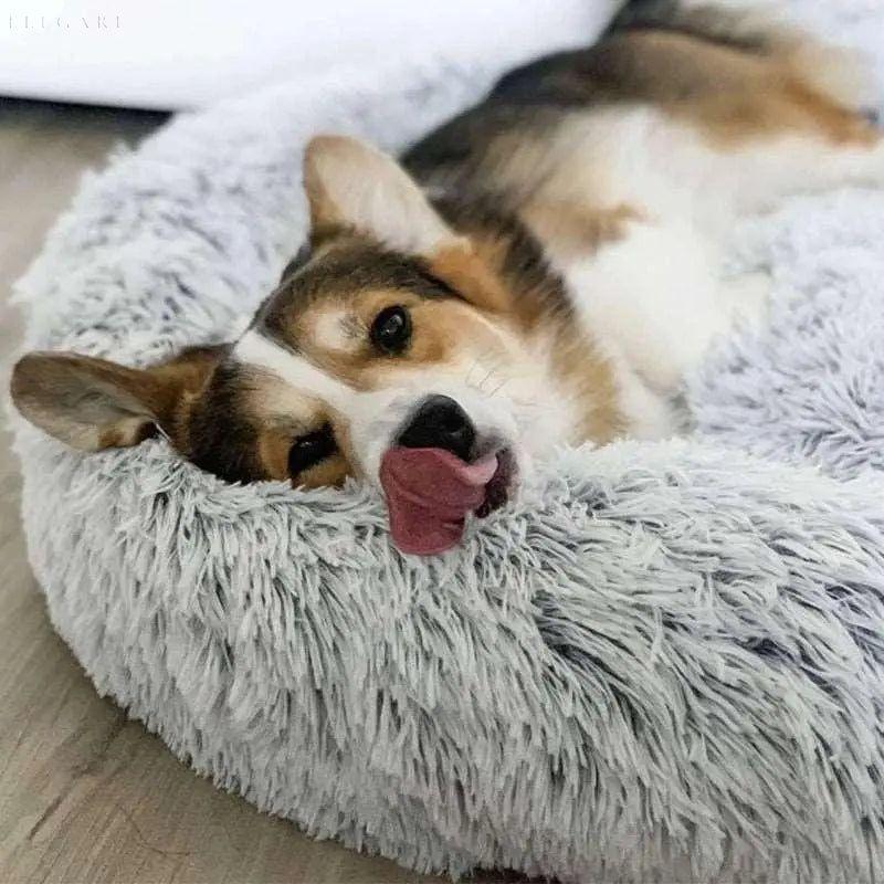 Fluffy Orthopedisch Hondenbed met Memory Foam