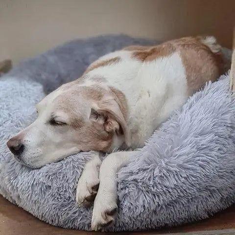 Fluffy Orthopedisch Hondenbed met Memory Foam