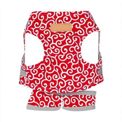 Comfortabel Kattenharnas Met Ademend Vest En Riem