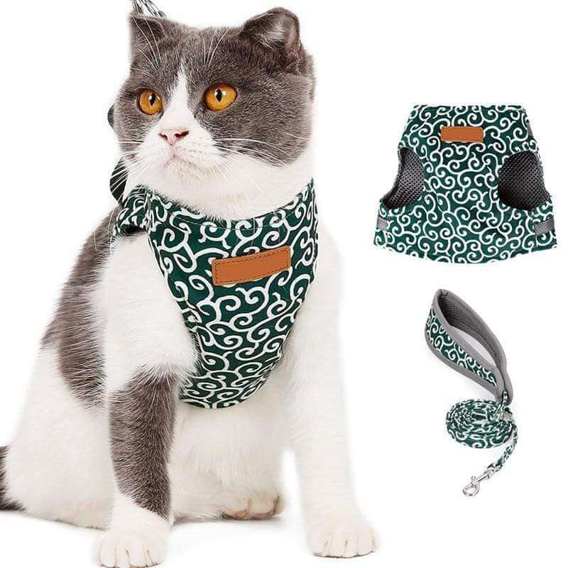Comfortabel Kattenharnas Met Ademend Vest En Riem