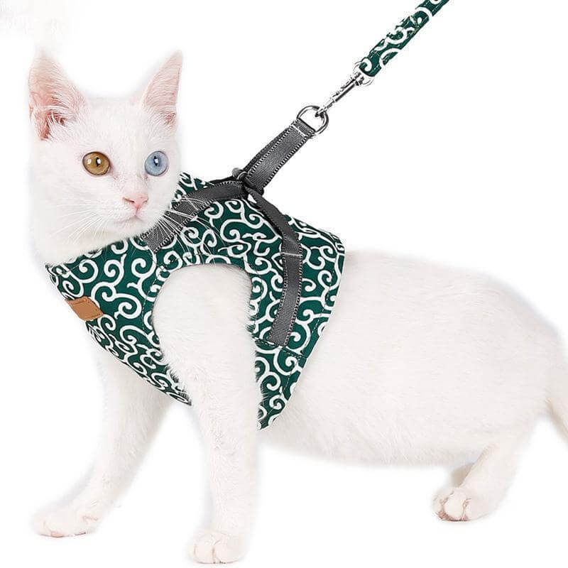 Comfortabel Kattenharnas Met Ademend Vest En Riem