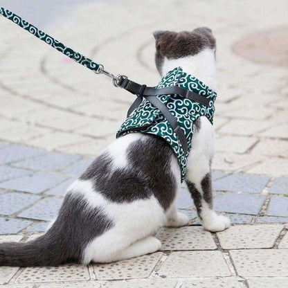 Comfortabel Kattenharnas Met Ademend Vest En Riem