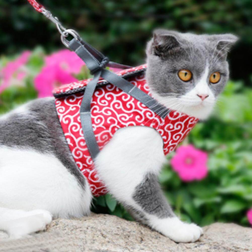 Comfortabel Kattenharnas Met Ademend Vest En Riem