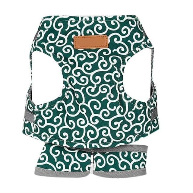 Comfortabel Kattenharnas Met Ademend Vest En Riem