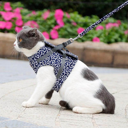 Comfortabel Kattenharnas Met Ademend Vest En Riem