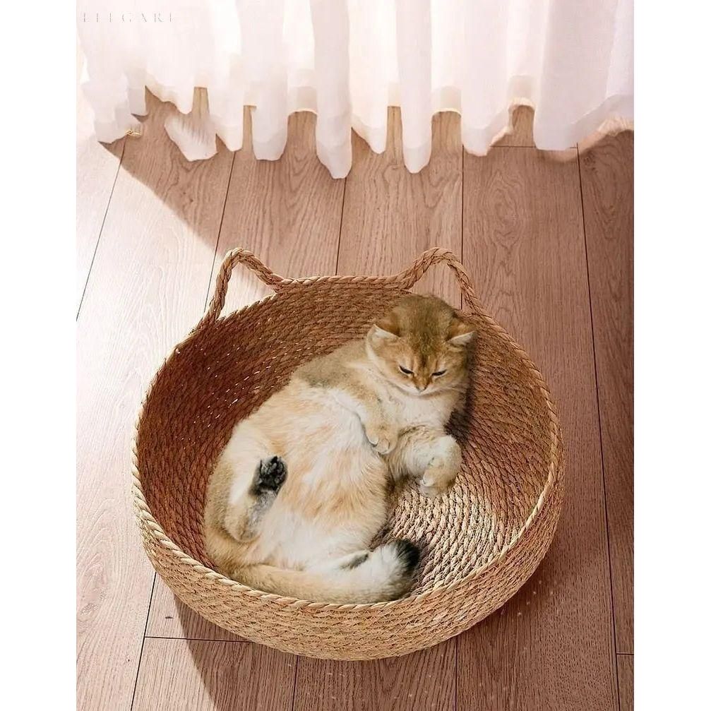 Gevlochten Kattenmand Met Uitneembaar Pluche Kussen