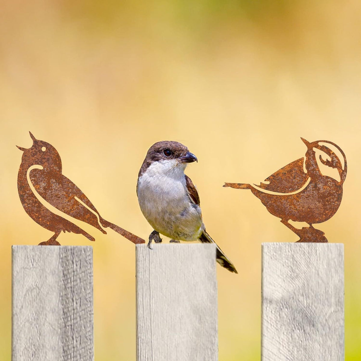 Cortenstalen Tuinvogels Met Natuurlijke Patina En Weerbestendige Constructie
