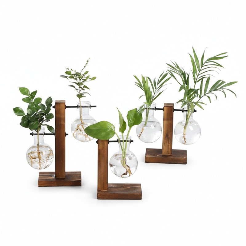 Hydroponische Glazen Vaas met Houten Standaard