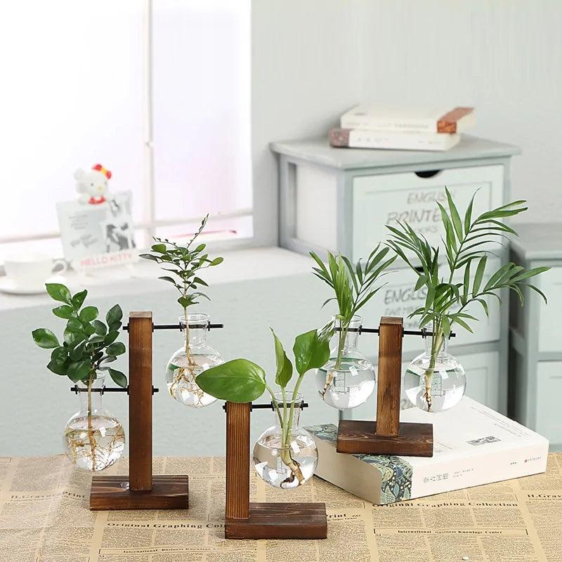 Hydroponische Glazen Vaas met Houten Standaard