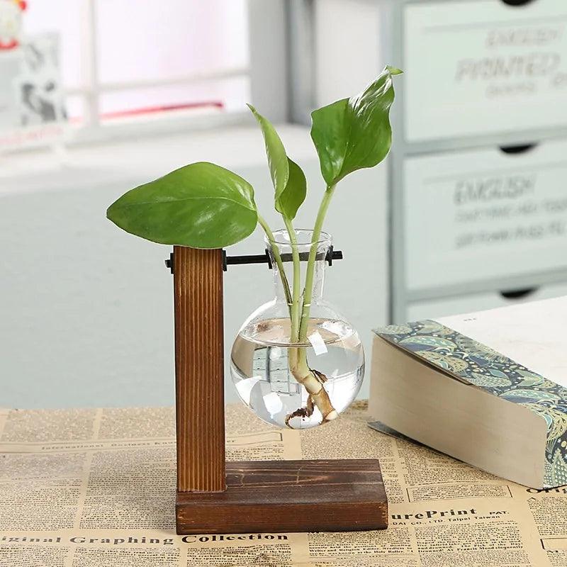 Hydroponische Glazen Vaas met Houten Standaard