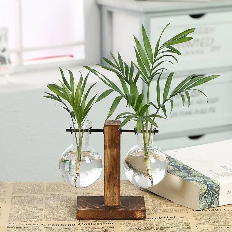 Hydroponische Glazen Vaas met Houten Standaard