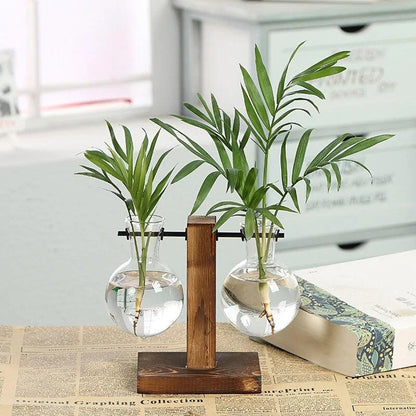 Hydroponische Glazen Vaas met Houten Standaard
