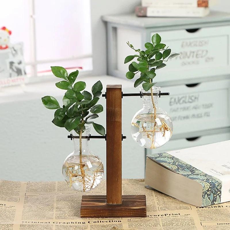Hydroponische Glazen Vaas met Houten Standaard