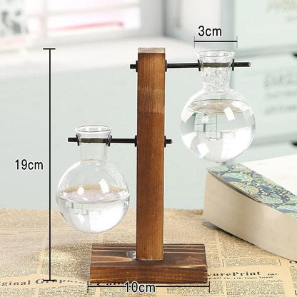 Hydroponische Glazen Vaas met Houten Standaard