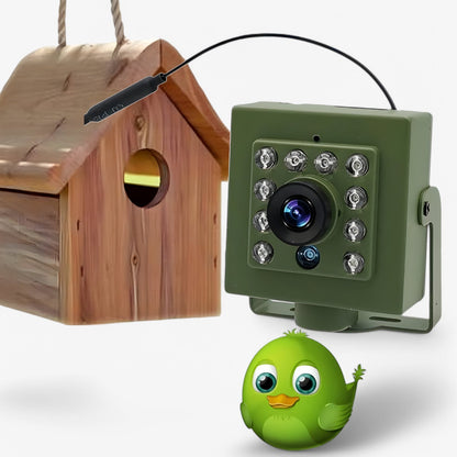Draadloze Buiten­camera met Helder Beeld en Weerbestendige Behuizing