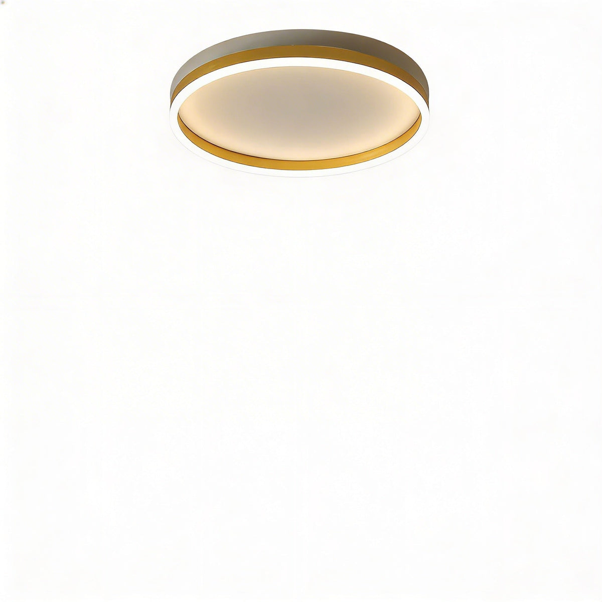 Moderne LED Plafondlamp Met Ronde Vorm Voor Stijlvolle Verlichting