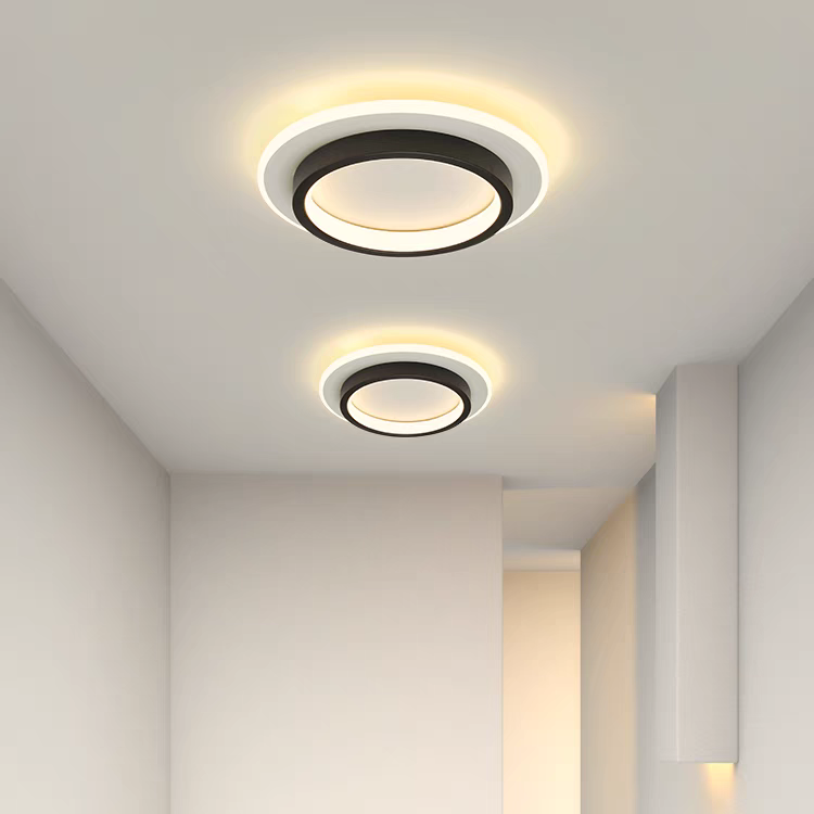 Moderne LED Plafondlamp Met Dubbele Ring Voor Strakke Interieurs