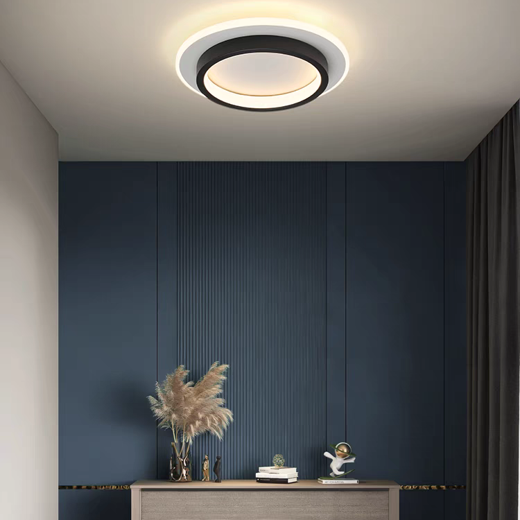 Moderne LED Plafondlamp Met Dubbele Ring Voor Strakke Interieurs