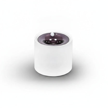 LED Plafondspot Met Bewegingssensor Voor Automatische Verlichting