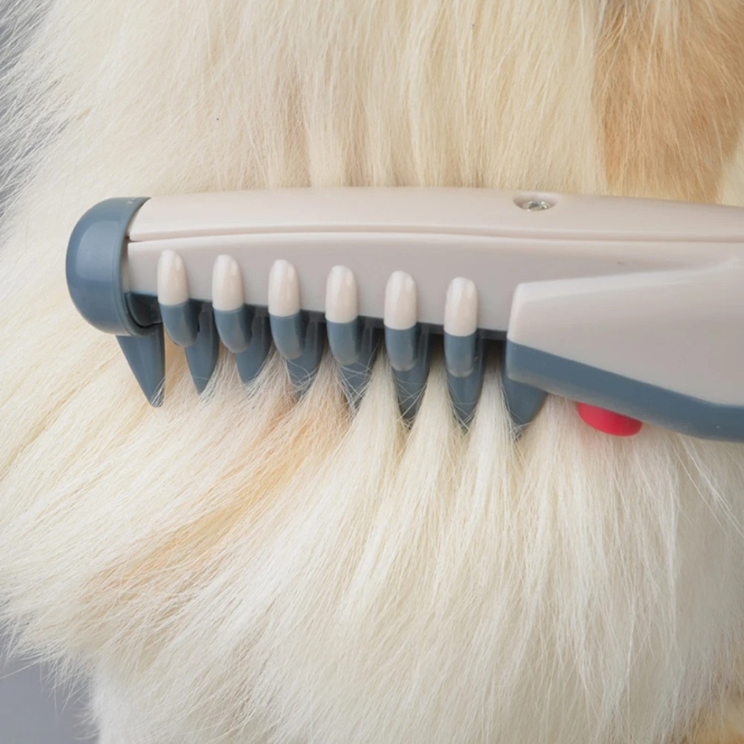 Pelskam Voor Huisdieren Met Comfortabele Trimming