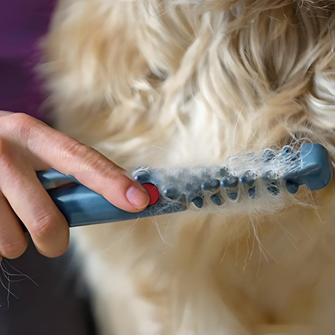 Pelskam Voor Huisdieren Met Comfortabele Trimming