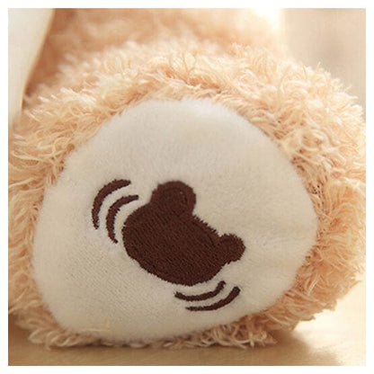 Interactieve Teddybeer met Muziek en Kiekeboe-Functie