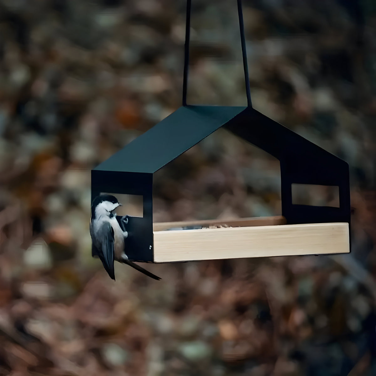 Hangend Vogelhuis Voor Tuin En Balkon