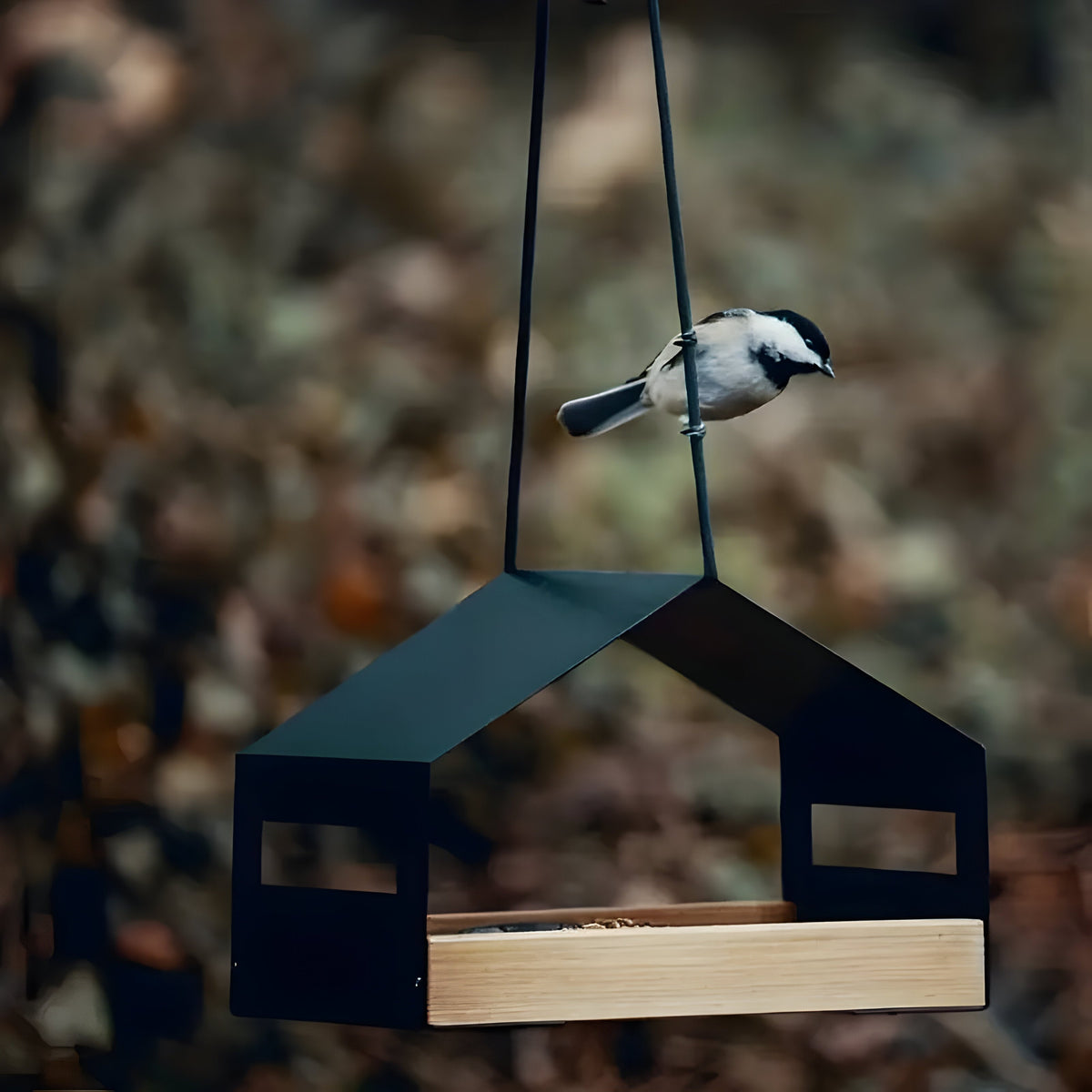 Hangend Vogelhuis Voor Tuin En Balkon