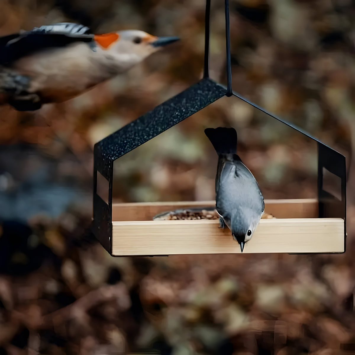 Hangend Vogelhuis Voor Tuin En Balkon